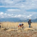 Werken op het land, Dongchuan