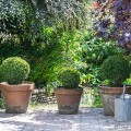 Lost Gardens of Heligan