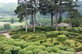 Jardin de Marqueyssac