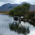 Rannoch Moor