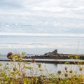 Wandelen langs de kust