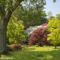 High Beeches