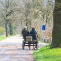 Genieten van de natuur met paard en wagen