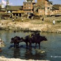 Kathmandu