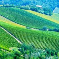 Onderweg in Le Marche