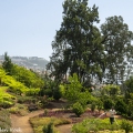 Botanische tuin Funchal