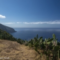 Ponta do Pargo