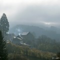 Cussy en Morvan, uitzicht vanuit het huis