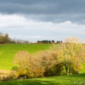 Wandeling nabij Cussy en Morvan