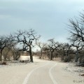 De weg in Etosha