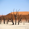 Deadvlei