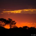 Afrikaanse zonsondergang