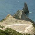 Cape kidnappers