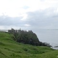 Dunluce castle