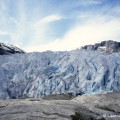 Nygardsbreen