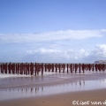 Mosselbanken met uitzicht op Cap Blanc Nez