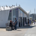 Wachten op een hapje op Bleriot PLage