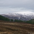 Cairngorms