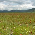 Monte Sibillini NP