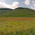 CastelLuccio