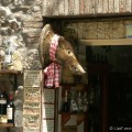 Winkel met varkenskop