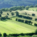 Brecon Beacons