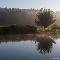 Ochtendgloren op de camping