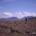 Omgeving Abisko