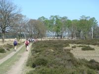 veluwe