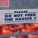 Haggis