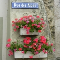 Rue des Alpes