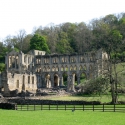 Rievaulx abbey