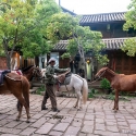 De paarden van Shaxi