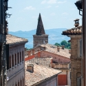 Urbino