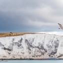 White Cliffs of Dover