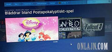 Postapokalyptisk prinsessaga