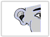 An ear