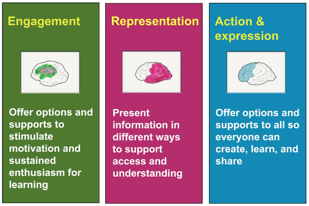 UDL principles: Engagement, Representation, Action & expression.