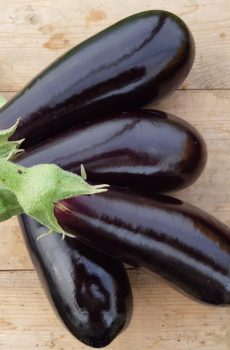 Aubergine - paars
