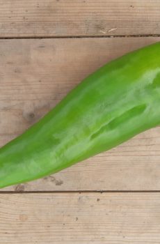 Zoete puntpaprika groen