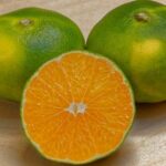 Clementine Satsuma (bio uit Italië)