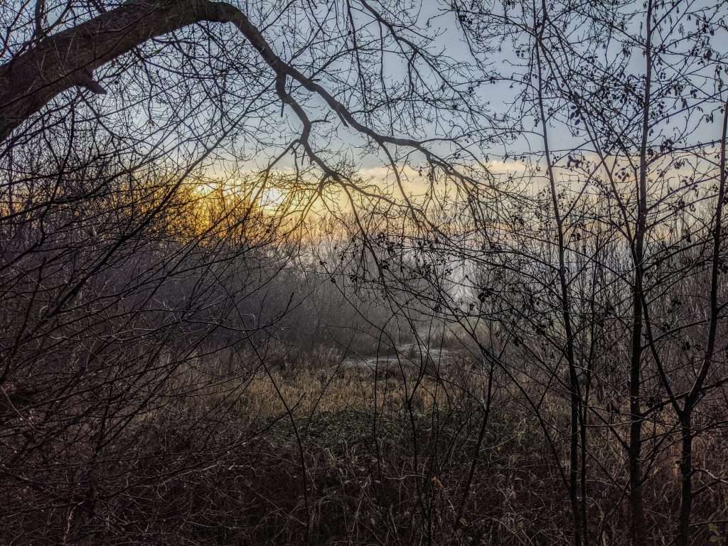 Foto van de zonsopgang in de Assebroekse Meersen. 