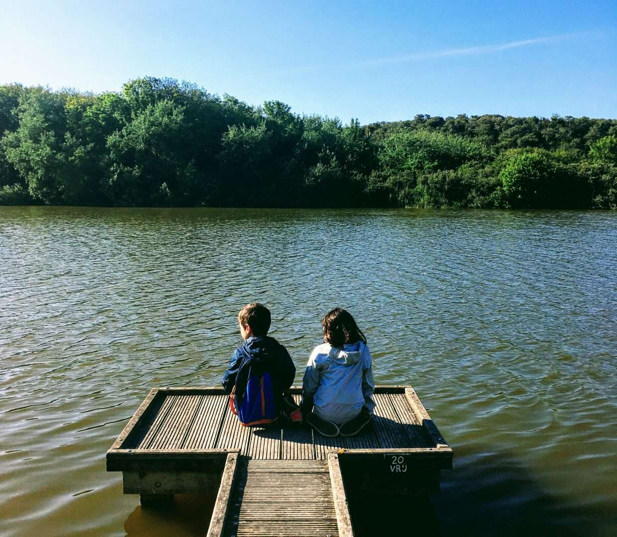 Blik op de vijver in de duinen