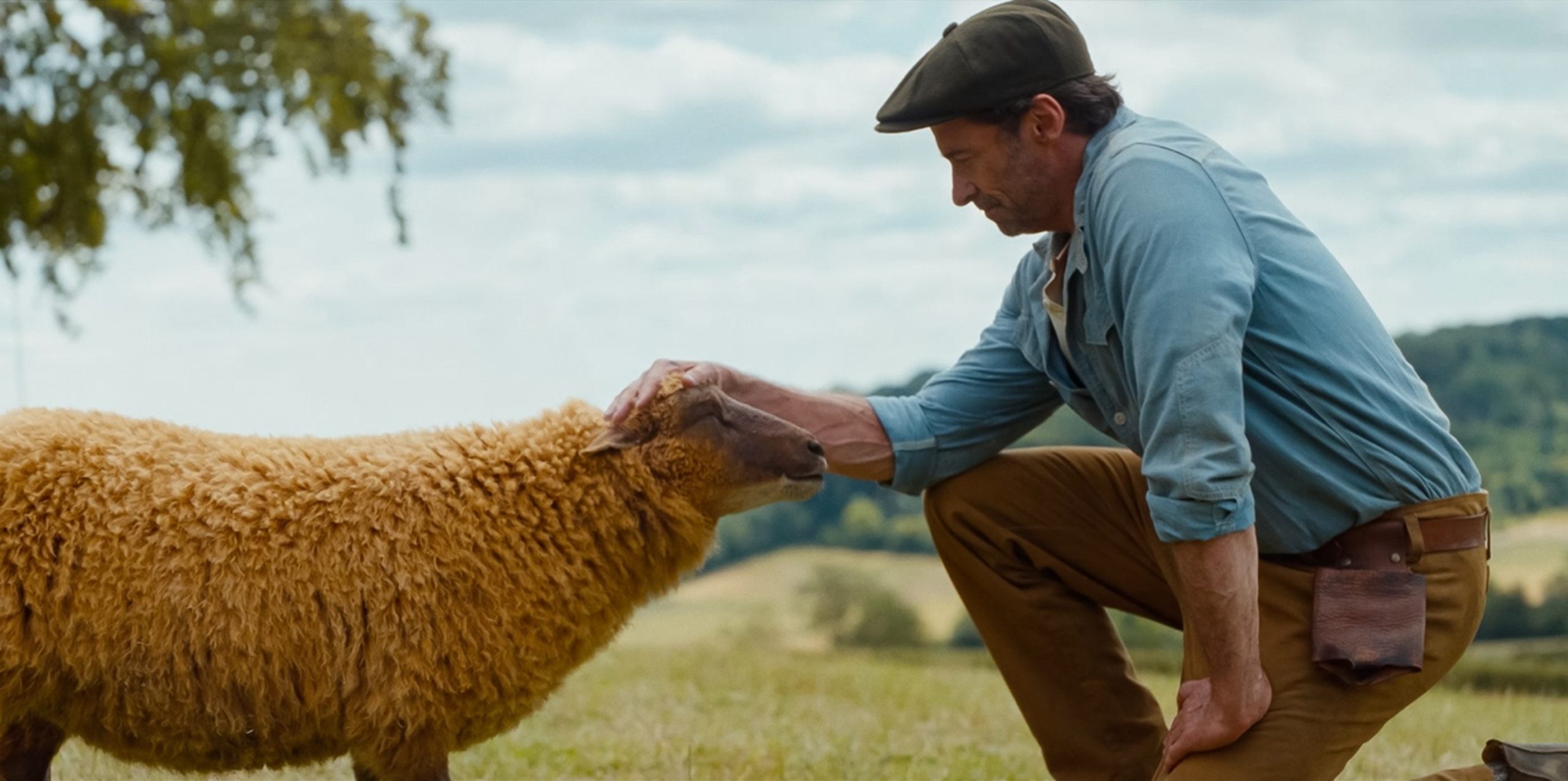 THE SHEEP DETECTIVES: Knives Out for hele familien