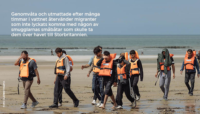 I franska Calais flyger måsarna över mänsklig misär