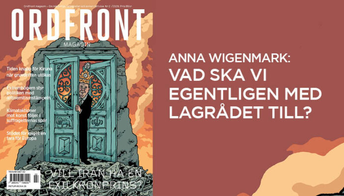 Vad ska vi egentligen med lagrådet till?