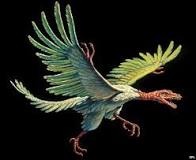 Archaeopteryx som vil ut og fly