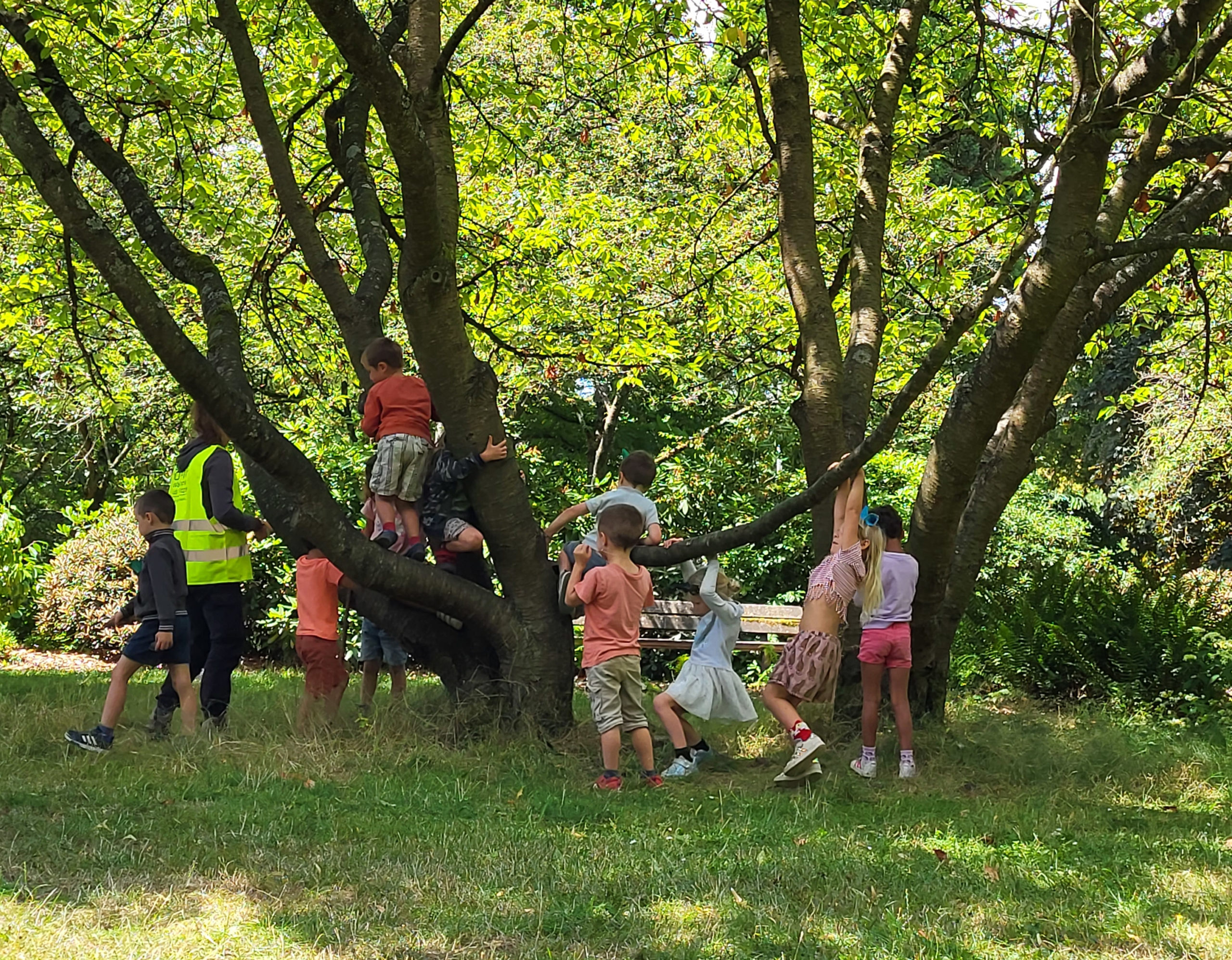 stage nature namur juillet 2026 enfants 6-9 ans