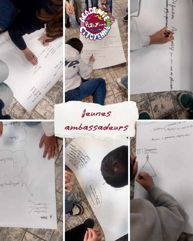 Montage photos de jeunes en pleine formation de jeunes ambassadeurs de prévention aux harcèlement.