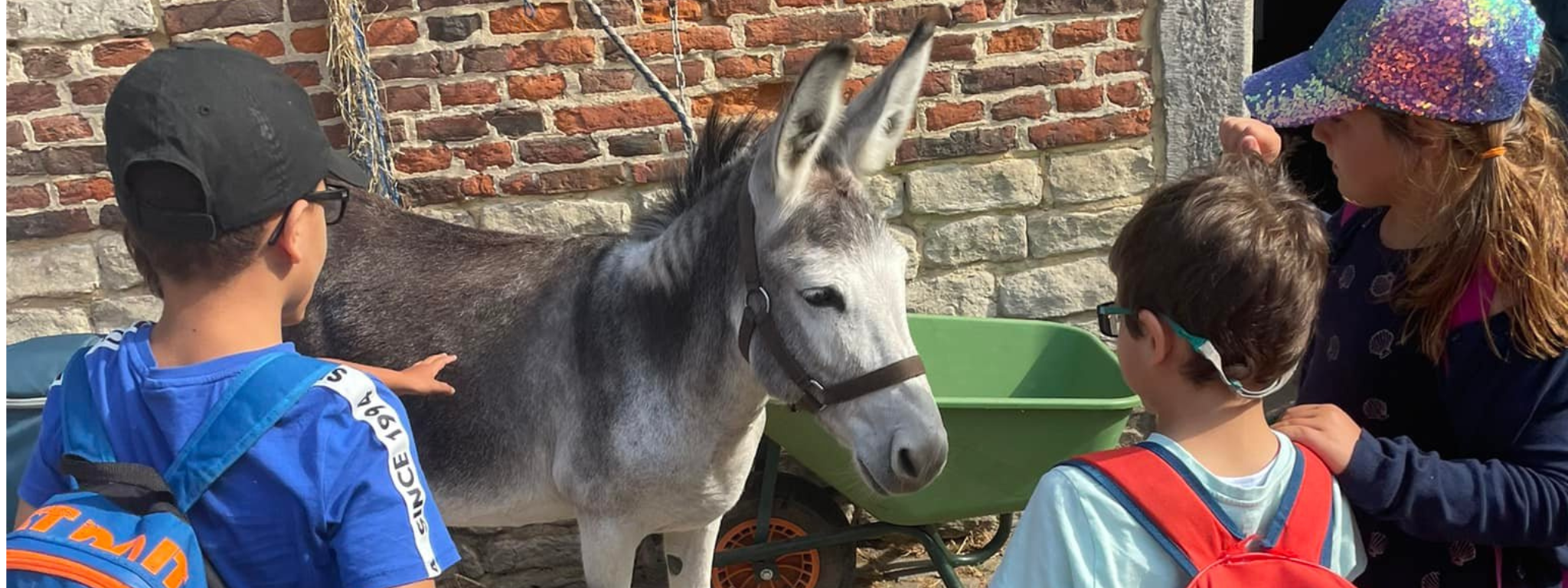 Séjour Petits fermiers à Stoumont 15 août - 22 août